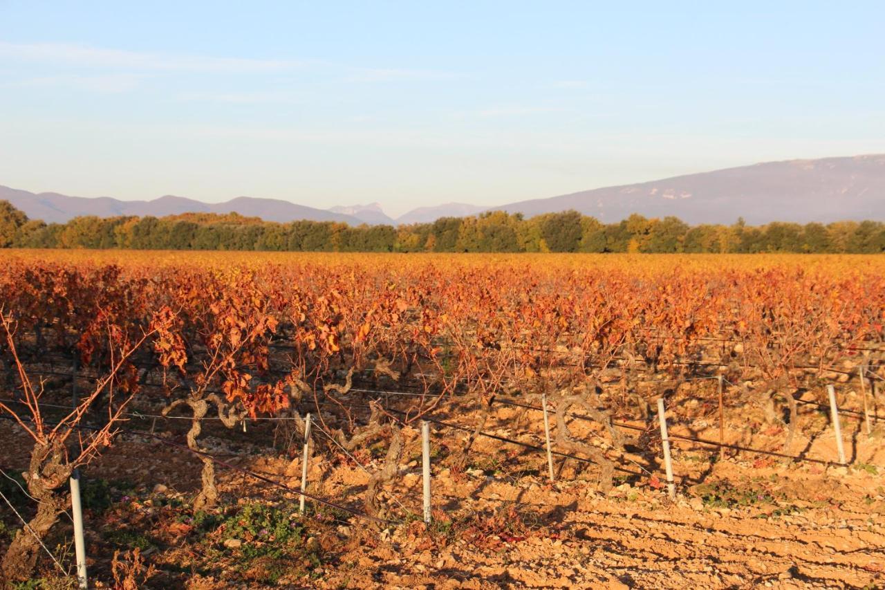Hébergement de vacances Le Mazet, Des Lucioles En Provence Montségur-sur-Lauzon